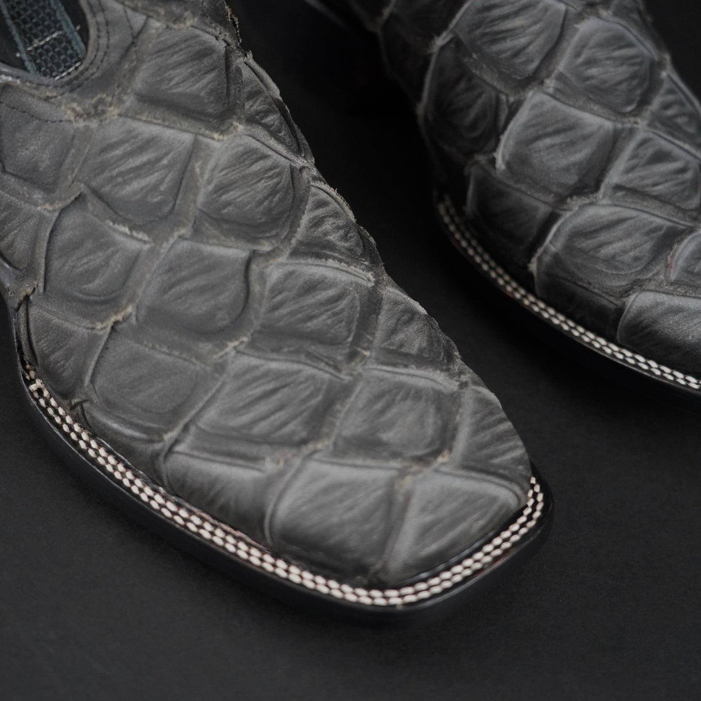 080 Pirarucu Gris