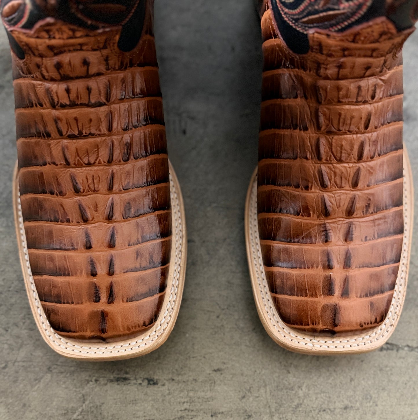 070 Cola Belly Shedron